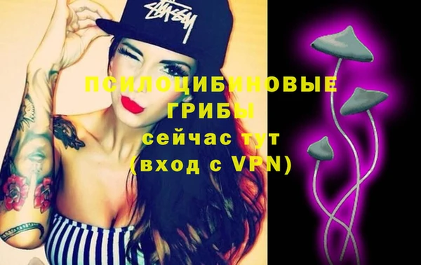 PSILOCYBIN Нягань