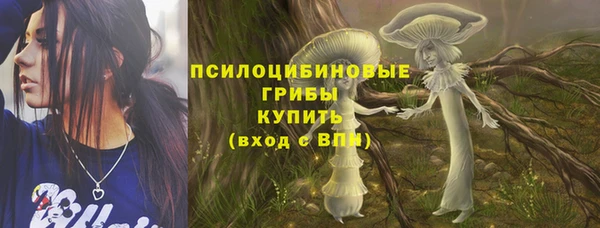 PSILOCYBIN Нягань