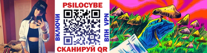 Псилоцибиновые грибы Magic Shrooms  Купить  Котлас 